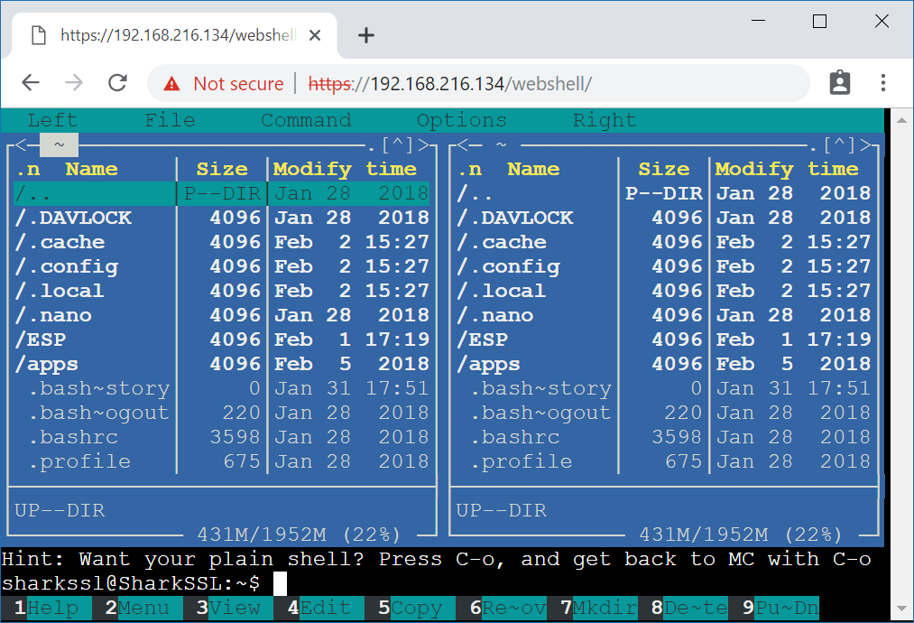 Linux Web Shell